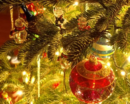 Red ornament on a christmas tree