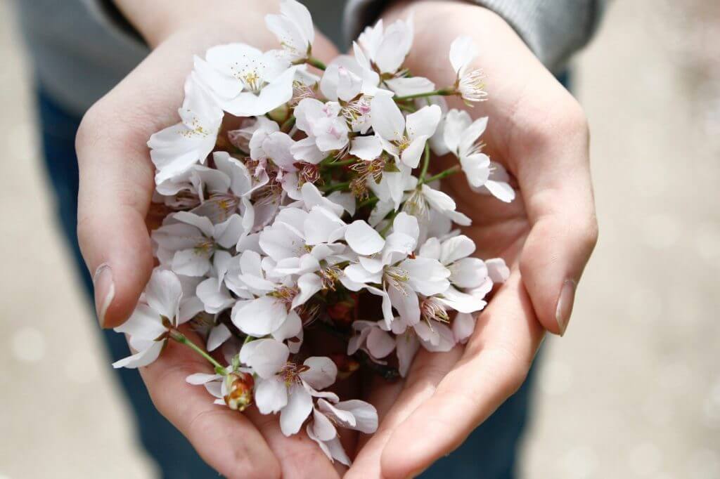 A Single Woman's Prayer - CatholicMatch